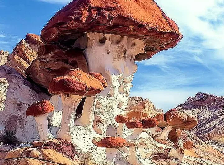 Exploring Otherworldly Landscapes in Northern New Mexico
