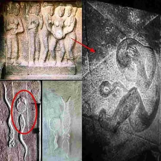 Did Ancient Indians Understand Fertilization Without a Microscope? Fascinating Facts Revealed!
