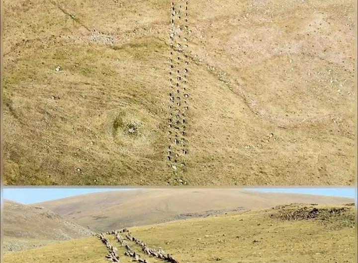 The Hartashen Megalithic Avenue: Unveiling Armenia’s Ancient Mystery