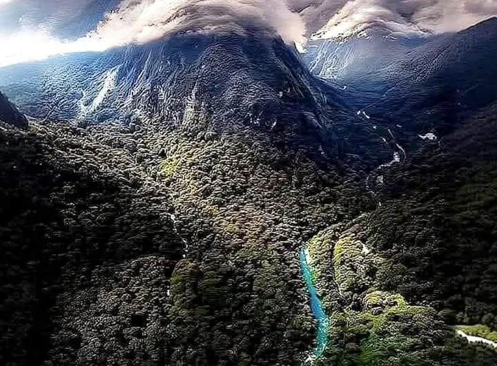 The Lacandona Forest: Mexico’s Biodiversity Sanctuary and Cultural Treasure