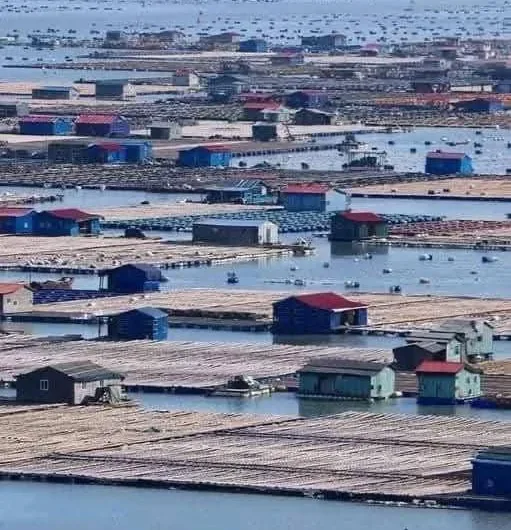 Life Afloat: The Enduring Legacy of the Tanka People, ‘Sea Gypsies’ of Southern China