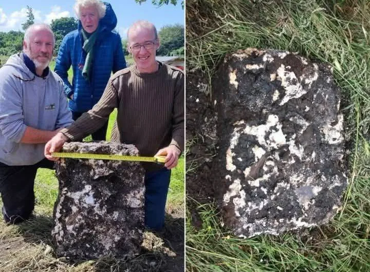 Ancient Irish Bog Butter: A Farmer’s Astonishing Find
