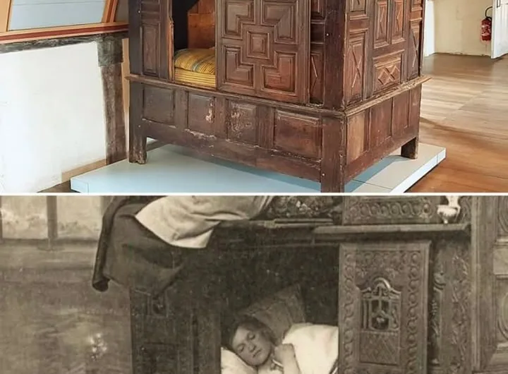 A Cozy Cocoon Through Time: Unearthing the Secrets of the Medieval Box Bed