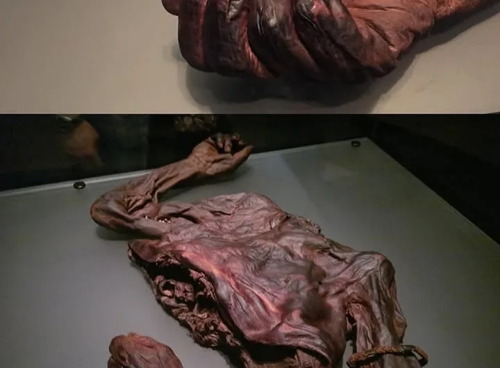 The Bog Body Mystery: What the 2,400-Year-Old Oldcroghan Man Reveals