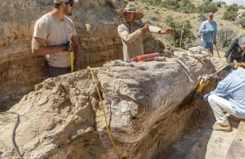 Unearthing a Stone Giant: The Remarkable Discovery of the Manwell Log in Utah