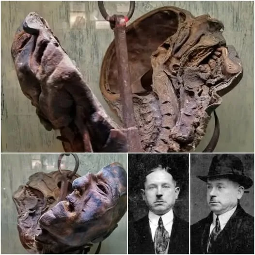 Peter Kürten’s Head: A Chilling Exhibit at Ripley’s Believe It or Not!