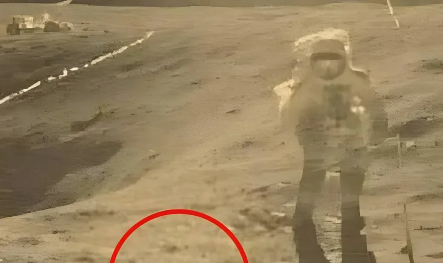 “Houston, We Have a Problem”: Unpacking the Iconic Photo and an Untold Space Story