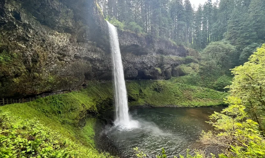 Silver Falls State Park, Oregon: The Crown Jewel of Natural Wonders
