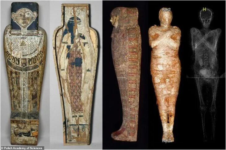 Mummified Pregnant Woman of Thebes: A Window into Ancient Egyptian Life and Death