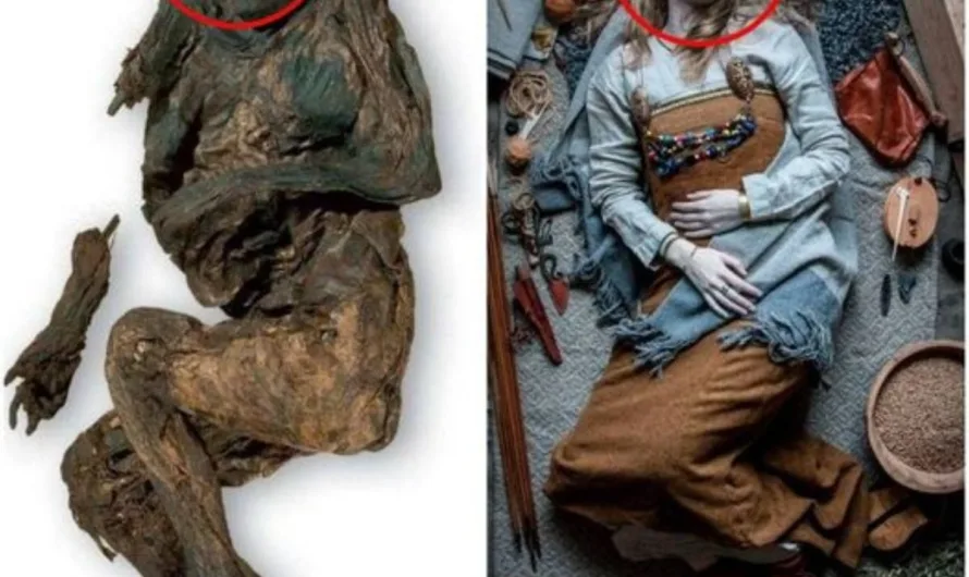 Unraveling the Mysteries of the 30,000-Year-Old Huldremose Woman: A Journey into Denmark’s Ancient Past