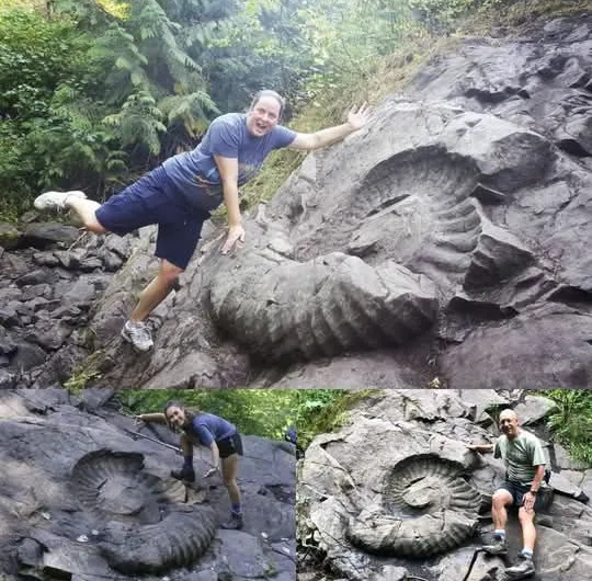Group aims to safeguard famed East Kootenay fossil