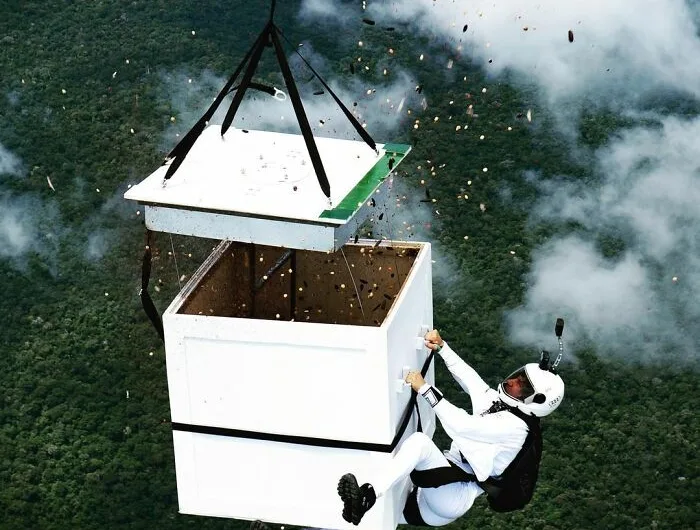 Man Sprinkles 100 Million Seeds Above Amazon Forest From 6,500 Feet