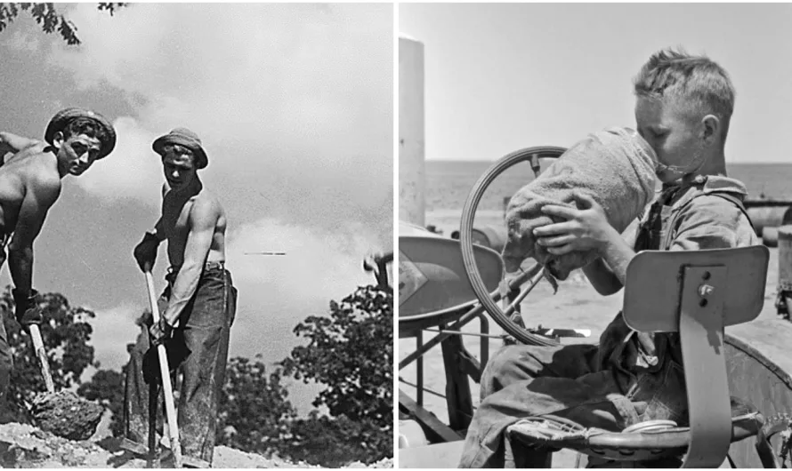1939: The year the dust settled
