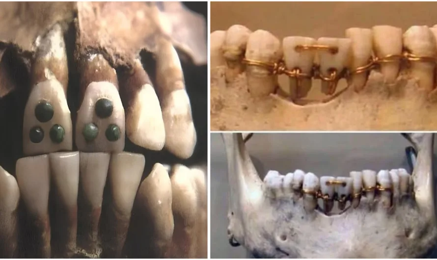The Maya’s Dental Masterpiece: Art, Identity, and Ritual in Every Smile
