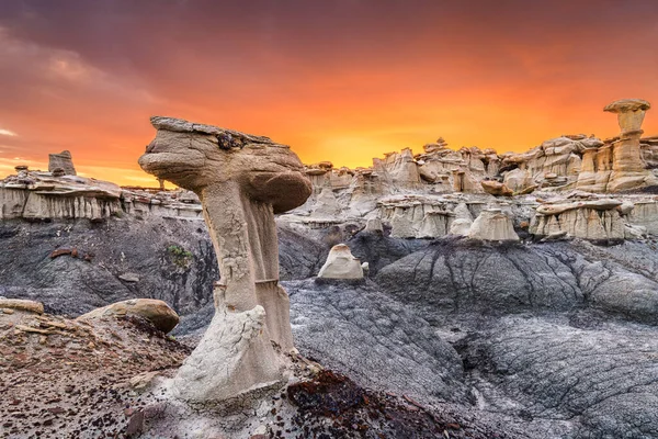 Bisti/De-Na-Zin Wilderness, USA