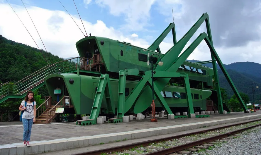 Grasshopper’s Dream: South Korea’s Whimsical Train Car Cafe