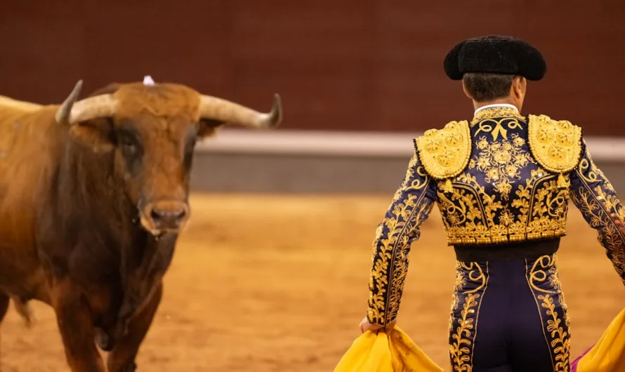It’s Official. Mexico City Just Banned Bullfighting Ending a 500 Year Tradition