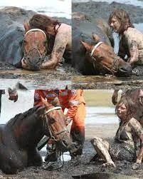 Nicole Graham’s Heroic Stand: A Mother’s Three-Hour Battle to Save Her Horse