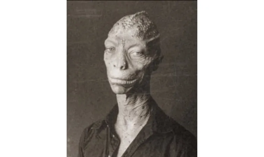 The Mysterious Draconian of a Dutch Town: Fact, Fiction, or Clever Hoax?