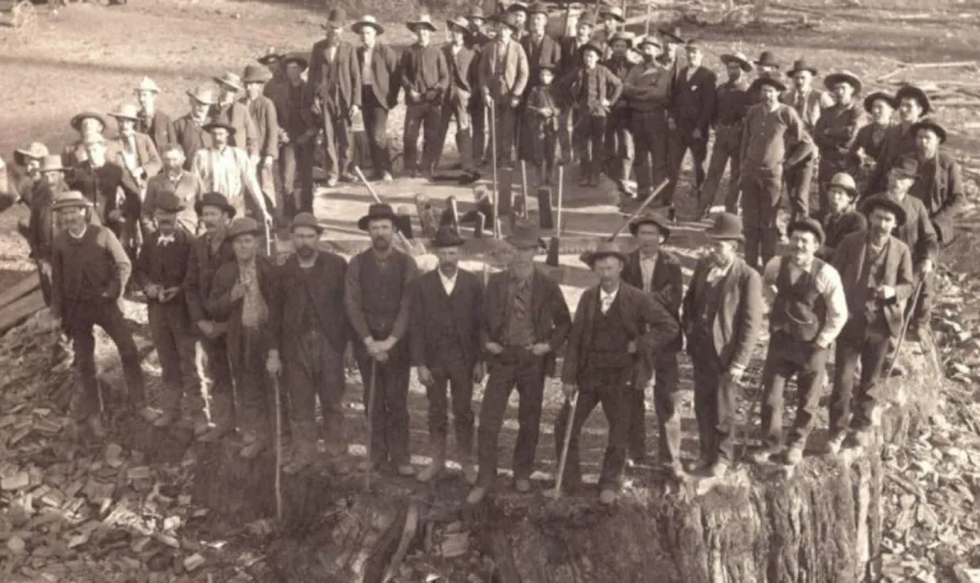 The Intriguing History Of The Enormous Sequoia Tree Known As Mark Twain, Which Was Felled In 1891
