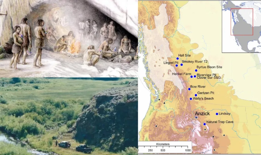 Early Americans ate tons of mammoth, 13,000-year-old bones from Clovis culture baby reveal