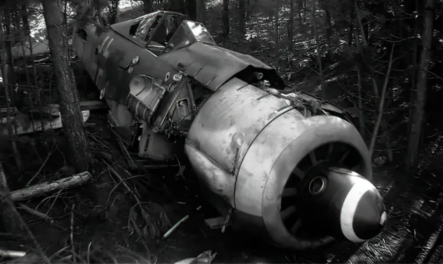 Fw 190 Found in Woods: Uncovering the Greatest WW2 Relic (inc video)