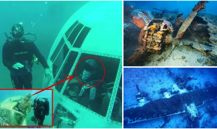 Divers Recover Remains of WWII Airman, 80 Years After He Crashed in the Mediterranean