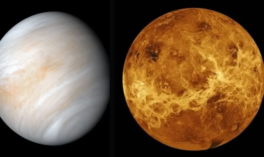 Venus Facts