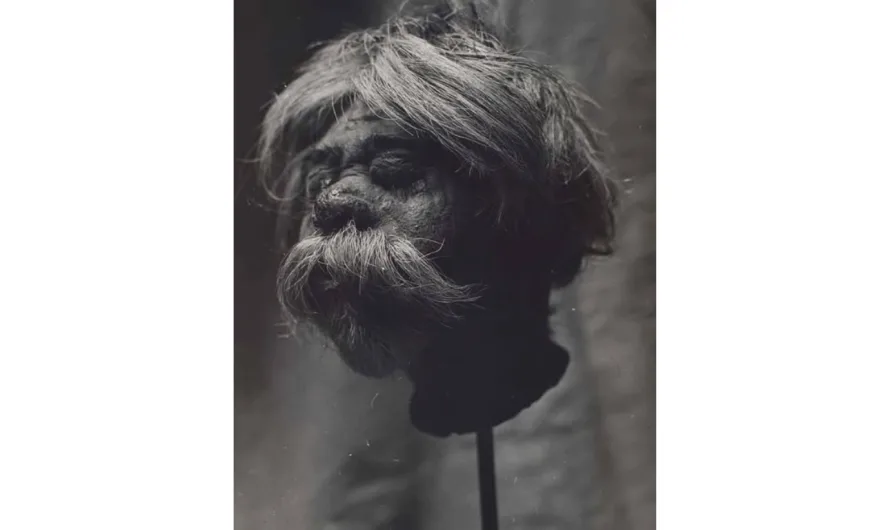 Shrunken heads
