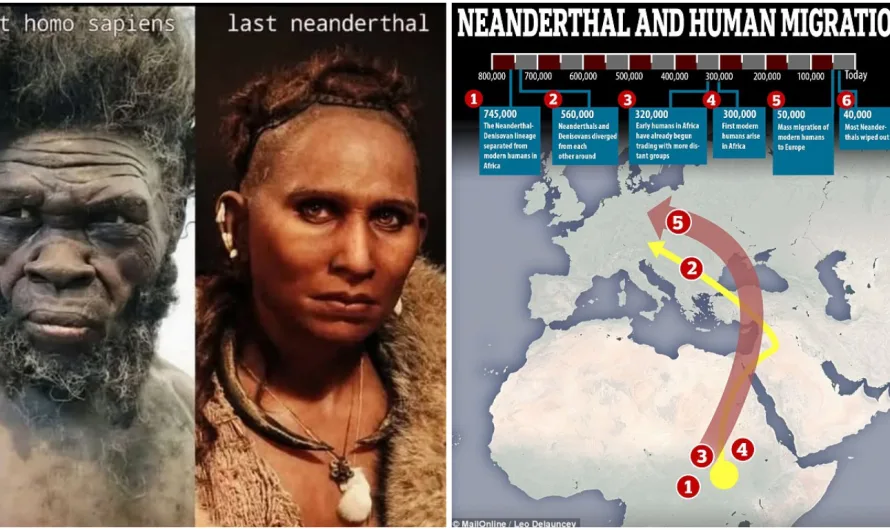 Sociable human cultures are OLDER than thought, according to ancient pigments and 320,000-year-old stone tools found in Kenya