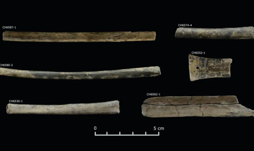 Psychedelics Allowed Ancient Peruvians to Consolidate Power, Study Says