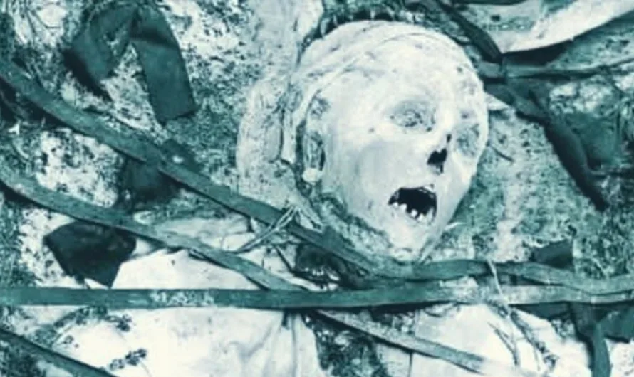 Anna Maria Von Stockhausen: The Undead Witch of Germany