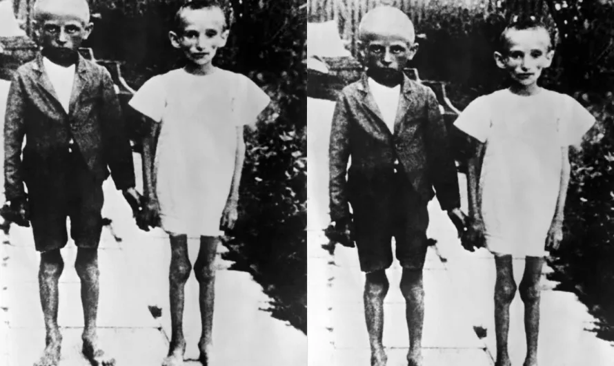 The Children of Auschwitz: A Story of Resilience and Remembrance