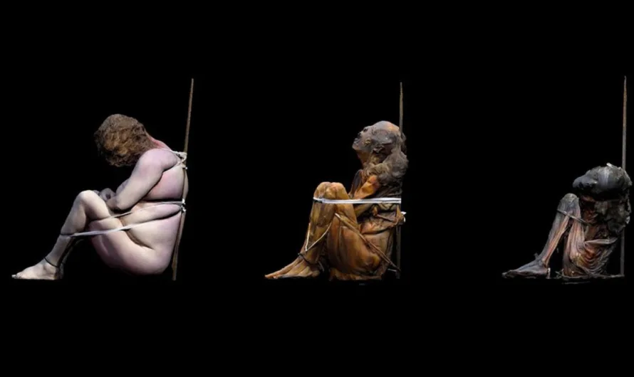 Researchers Find Potential Evidence of Oldest-Known Mummification