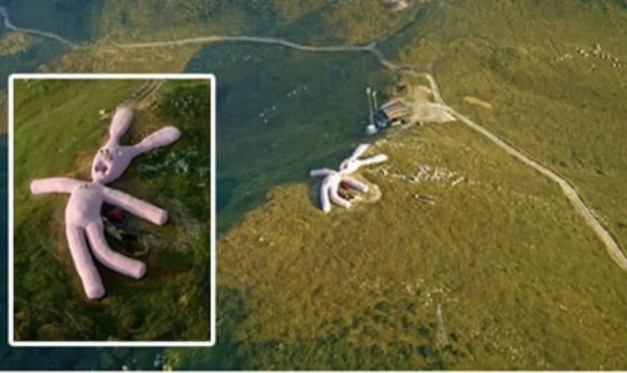 The Journey of the Giant Pink Rabbit
