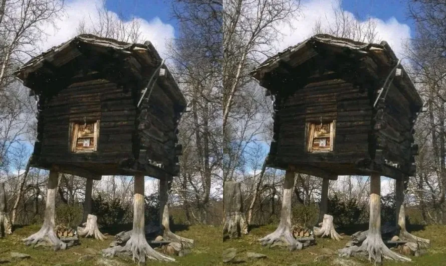 The Unique “Chicken Legs” Home of Hattfjelldal: Norway’s Stabbur