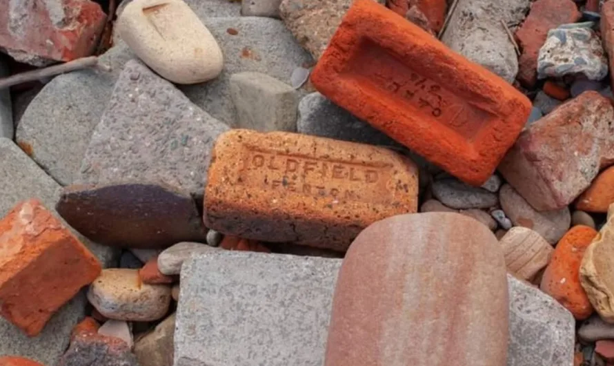 Country diary: Life has returned to these bits from the blitz