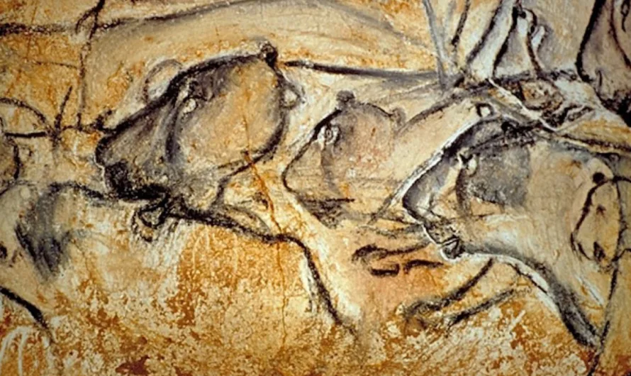 Chauvet-Pont d’Arc Cave And Surrounding Landscape – What Did The Ancient Artists See?