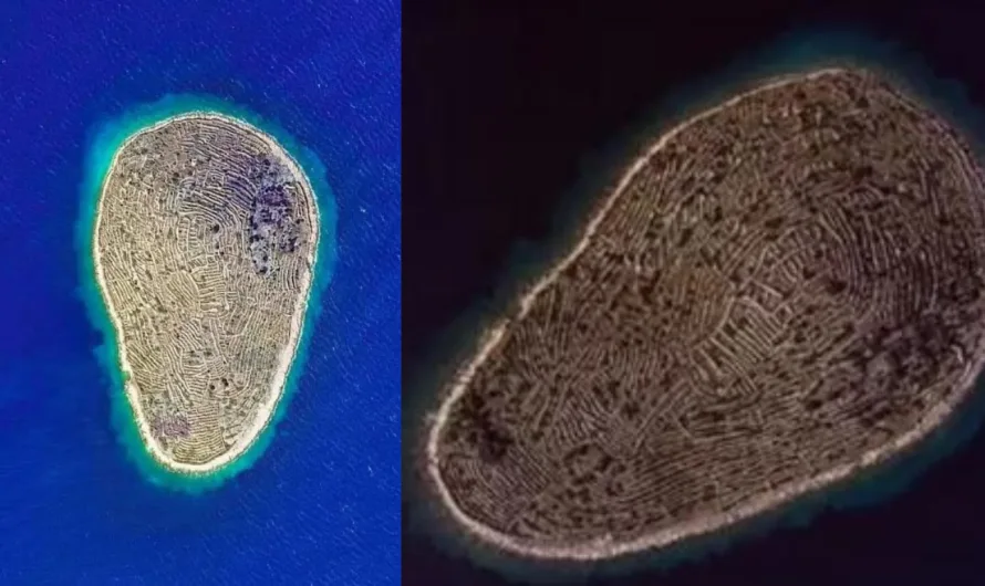 This Croatian Island Has 23 Kilometers Of ‘Walls’ That Make It Look Exactly Like A Fingerprint