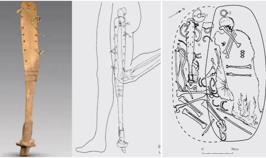 Prosthetic Leg with Hoofed Foot Discovered in Ancient Chinese Tomb