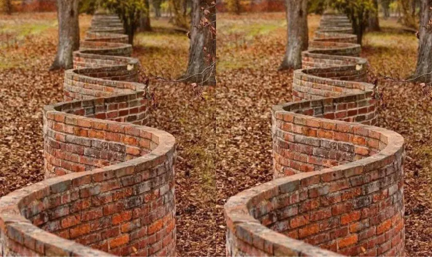 The Curvy Conundrum: Why Wavy Brick Walls Are Smarter Than You Think