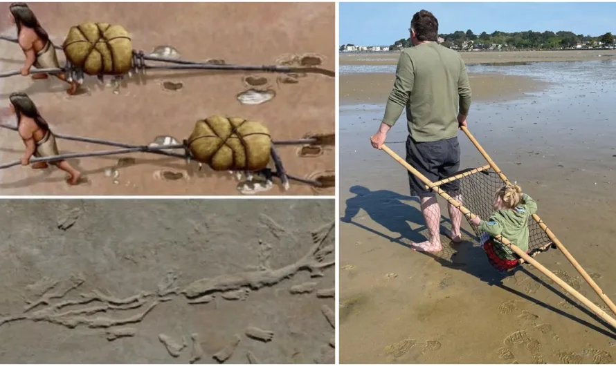 22,000-Year-Old Tracks Uncover the Dawn of Transportation