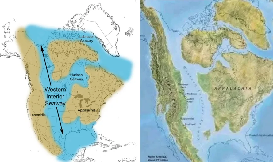 When North America Was Two: A Tale of Dinosaurs, Seas, and Ancient Worlds