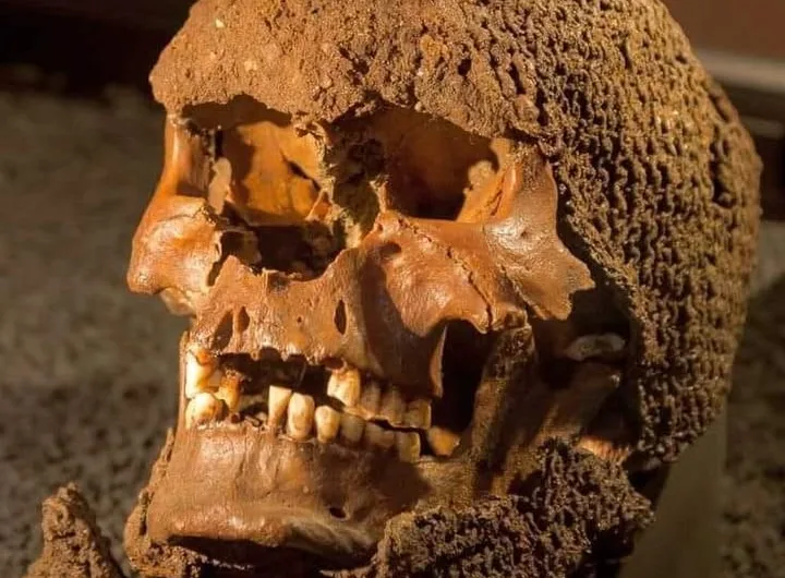 ‘The Battle of Gotland 1361’ Exhibit