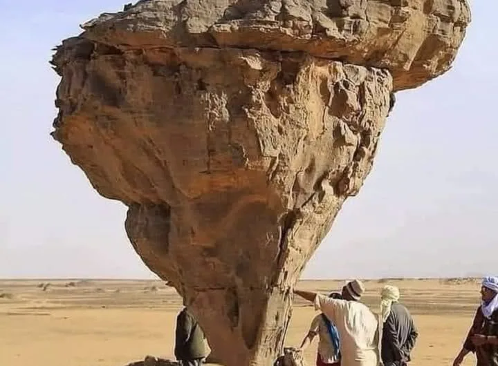 The Stone Mushroom of the Sahara: A Monument to Time’s Patient Hand