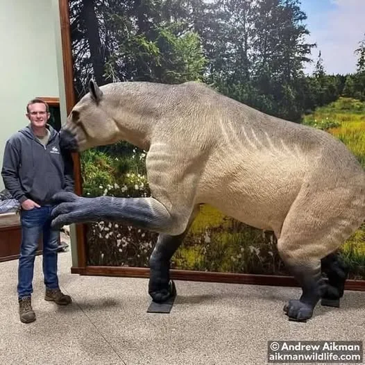 Meet the Ground Sloth That Stood as Tall as a House and Weighed 4 Tons