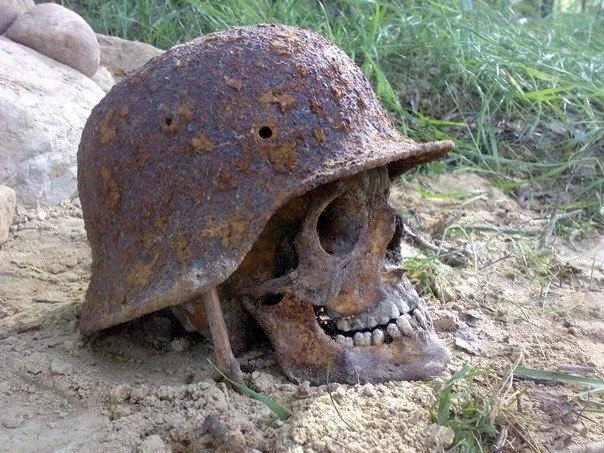 A Haunting Relic: The Skull in the Stahlhelm and War’s Lasting Truth