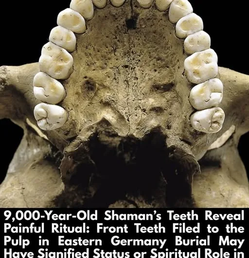 9,000-year-old double burial with shaman and infant reveals family mystery through genetic analysis