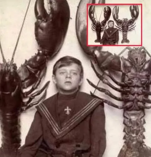 A Brief History of Lobsters and How They Became Seafood Royalty