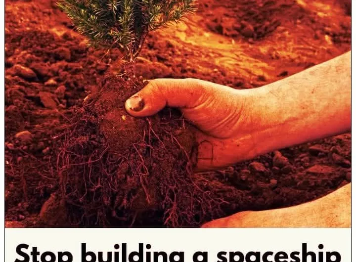 Climate change: Uncontrolled tree planting ‘could harm landscape’